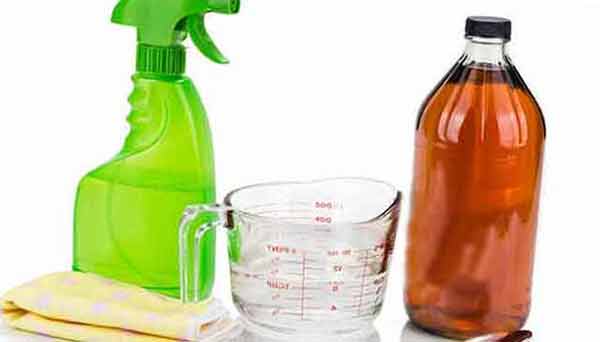 vinegar And water Solution