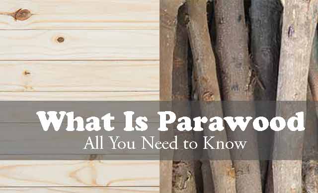 What Is Parawood