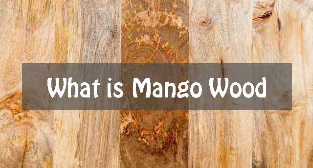What is Mango Wood? 3 Things That Make It Special