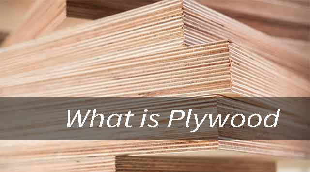 What is Plywood? and How to Buy It?